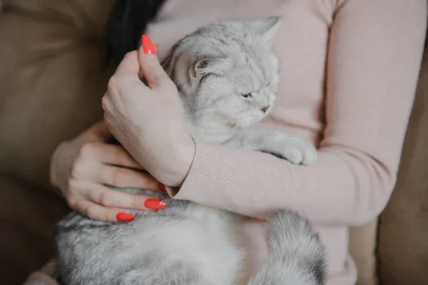 Das Mädchen Hält Ein Kätzchen Auf Dem Arm Kätzchen Den — Stockfoto