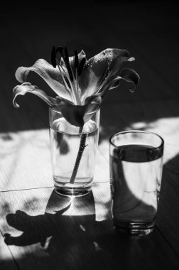 Masada bir bardak su var..