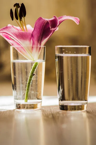 Verre Eau Froide Placé Sur Bois Floor Focus Fleurs Lis — Photo