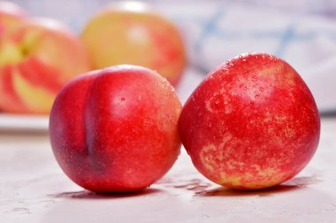 Taze sulu İspanyol portakal