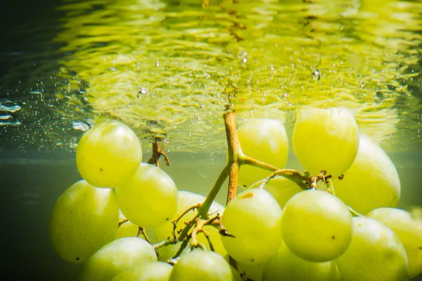 Raisins Verts Frais Dans Eau — Photo