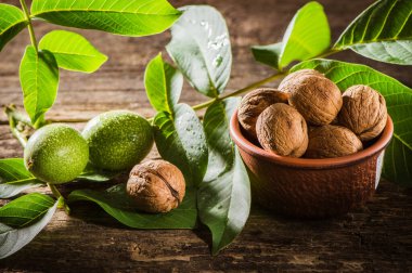 bowl with fresh walnuts, leaves and nut shell on gray stone background. Autumn seasonal.