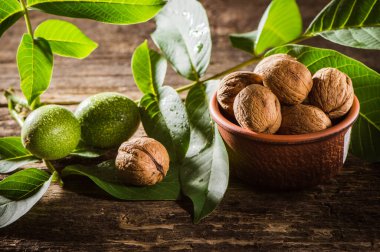 bowl with fresh walnuts, leaves and nut shell on gray stone background. Autumn seasonal.