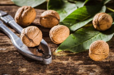 bowl with fresh walnuts, leaves and nut shell on gray stone background. Autumn seasonal.