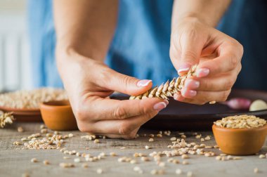 girl holds a grain in her hands.Good harvest