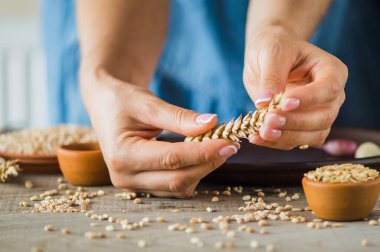girl holds a grain in her hands.Good harvest