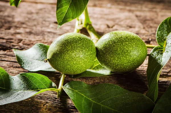 Green Walnut Shell — Stock Photo, Image