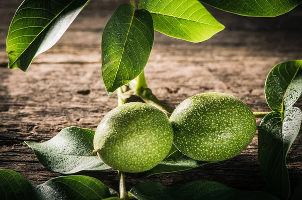 Green Walnut Shell — Fotografia de Stock