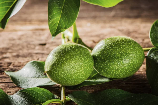 Green Walnut Shell — Stock Photo, Image