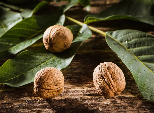 Bowl Fresh Walnuts Leaves Nut Shell Gray Stone Background Autumn — Foto de Stock