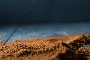 Kahve dokusunun arka planında. Kahve çekirdekleri masaya saçılmış..