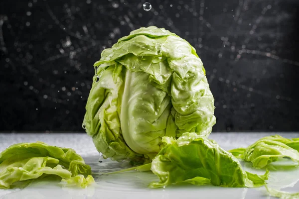 Fresh Head Green Cabbage — Stock Photo, Image
