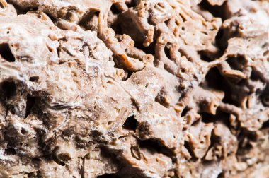 Taş dokusu farklı mermer, granit, beton