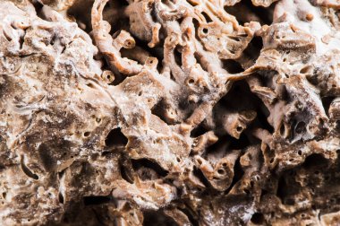 Taş dokusu farklı mermer, granit, beton