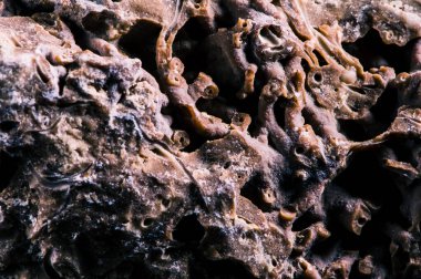 Taş dokusu farklı mermer, granit, beton