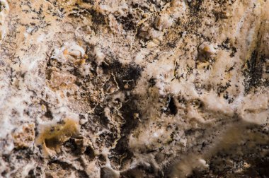 Taş dokusu farklı mermer, granit, beton