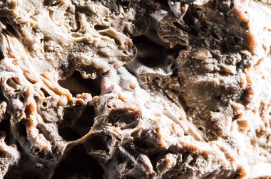 Taş dokusu farklı mermer, granit, beton