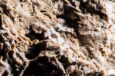 Taş dokusu farklı mermer, granit, beton