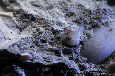 Taş dokusu farklı mermer, granit, beton