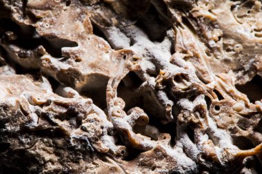 Taş dokusu farklı mermer, granit, beton