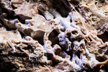 Taş dokusu farklı mermer, granit, beton