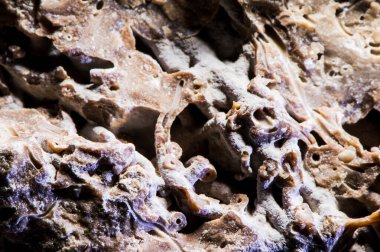 Taş dokusu farklı mermer, granit, beton