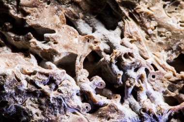 Taş dokusu farklı mermer, granit, beton