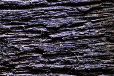 farklı ahşap desenli meşe, çam, kül