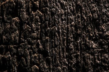 farklı ahşap desenli meşe, çam, kül