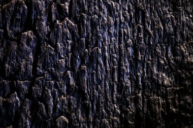 farklı ahşap desenli meşe, çam, kül