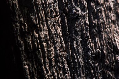 farklı ahşap desenli meşe, çam, kül