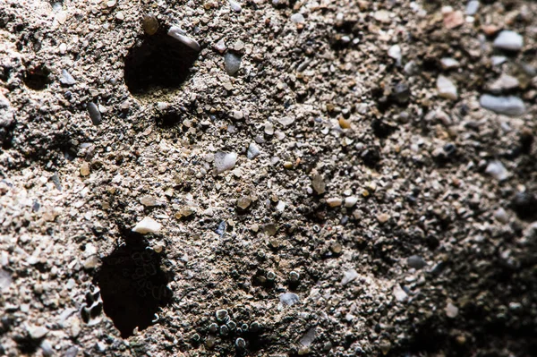 Tekstura Kamienia Inny Marmur Granit Beton — Zdjęcie stockowe