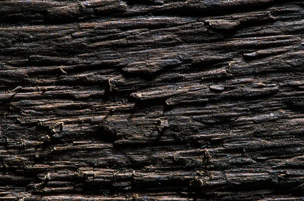 Diverse Texture Legno Quercia Pino Frassino — Foto Stock