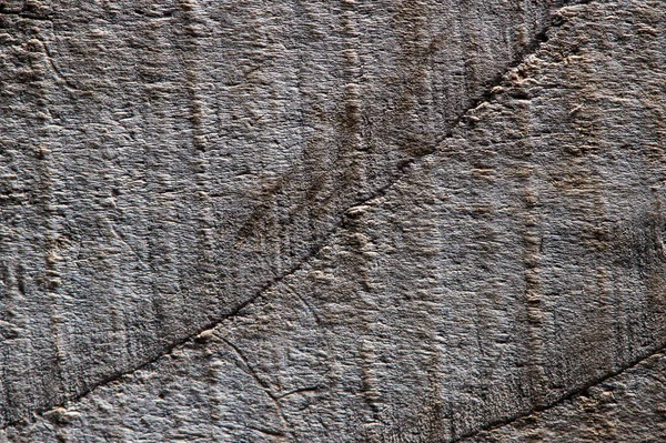 Verschiedene Holzstrukturen Aus Eiche Kiefer Esche — Stockfoto