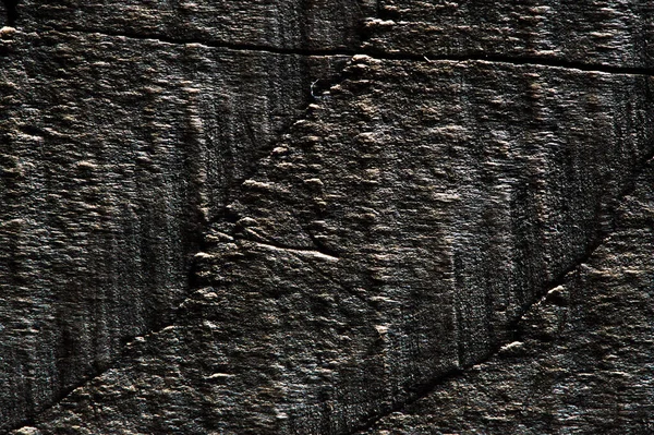 Різної Текстури Деревини Дуба Сосни Попелу — стокове фото