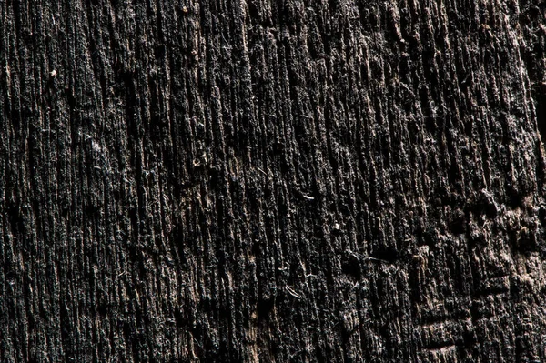 オーク 灰の木の質感が違う — ストック写真