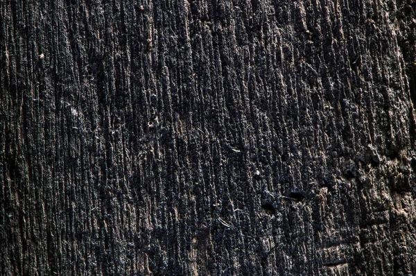 Different Wood Texture Oak Pine Ash — Stock Photo, Image