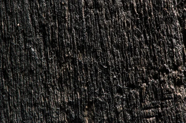 Different Wood Texture Oak Pine Ash — Stock Photo, Image