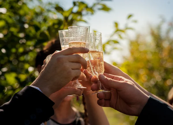 Drink — Stock Photo, Image