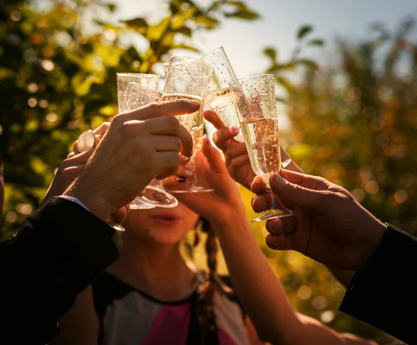 Drink — Stock Photo, Image