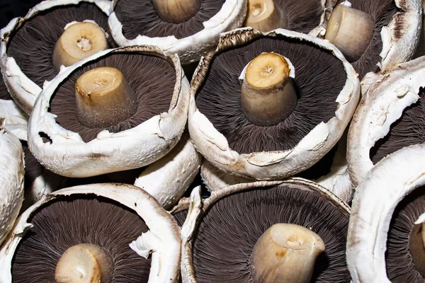 Large Portobello Mushrooms Dark Back Ground White Lace Cloth — Stock Photo, Image