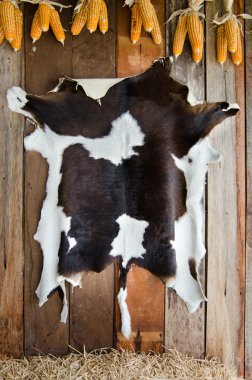 Картина, постер, плакат, фотообои "коричневая и белая кожа коровы висит на стене постеры картины фотографии", артикул 109847732
