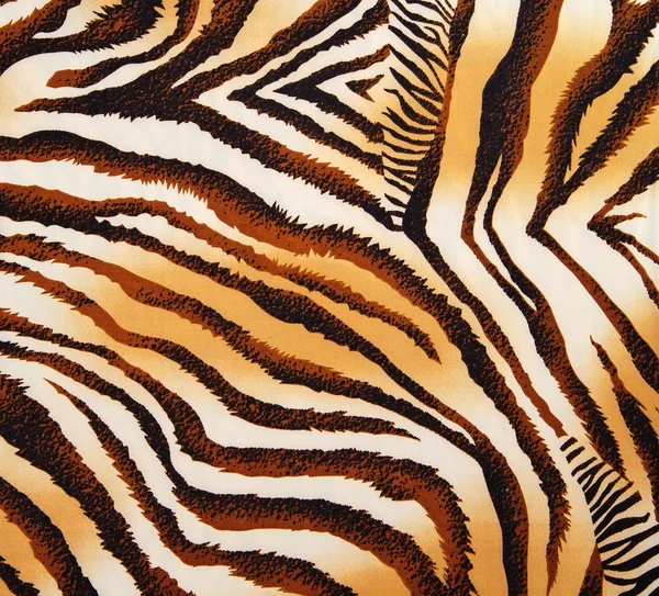 Pattern of a tiger skin, excellent wildlife background — Stock Photo, Image