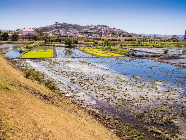 Impresionante Vista Panorámica Antananarivo Con Exuberantes Arrozales Primer Plano Madagascar —  Fotos de Stock