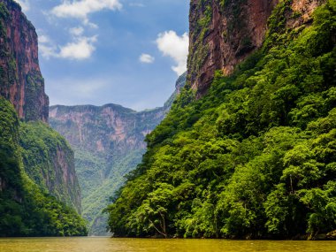 Sumidero Kanyonu ve verimli ormanı Grijalva nehri, Chiapas, Meksika 'dan etkileyici bir manzara.