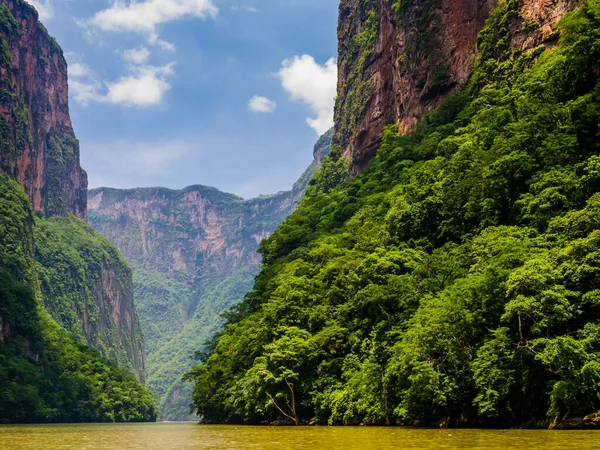 Působivý Pohled Kaňon Sumidero Jeho Bujný Les Řeky Grijalvy Chiapas Stock Obrázky