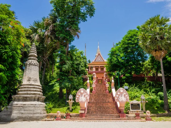 Wat Phnom Pagoda Phnom Penh Kamboçya Giden Çok Başlı Yılanlarla — Stok fotoğraf