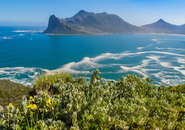 Hout Bay od Chapman je Peak drive, Jižní Afrika Stock Snímky