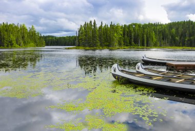 Yüzen bir gölde, Quebec, Kanada Kano