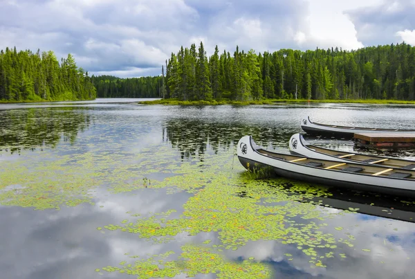 Canoe galleggianti su un lago, Quebec, Canada — Foto Stock
